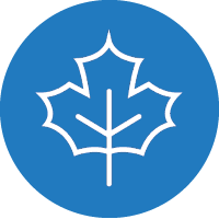 leaf icon