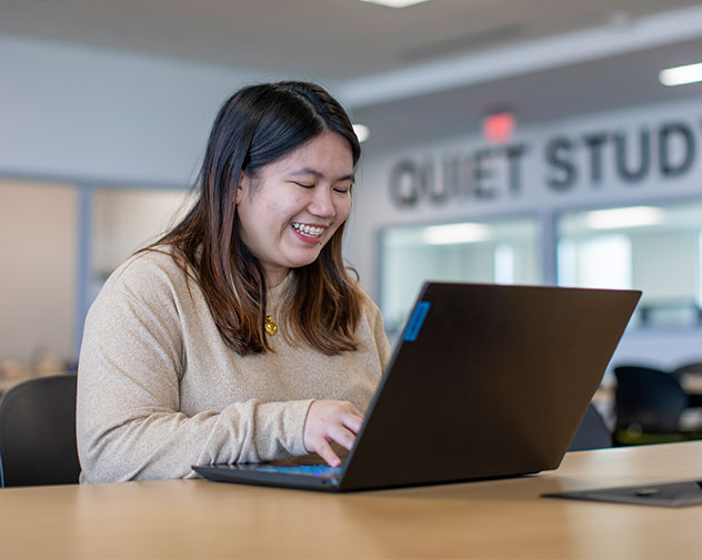 person sitting using a laptop