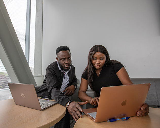 two people sitting on chairs looking at laptops