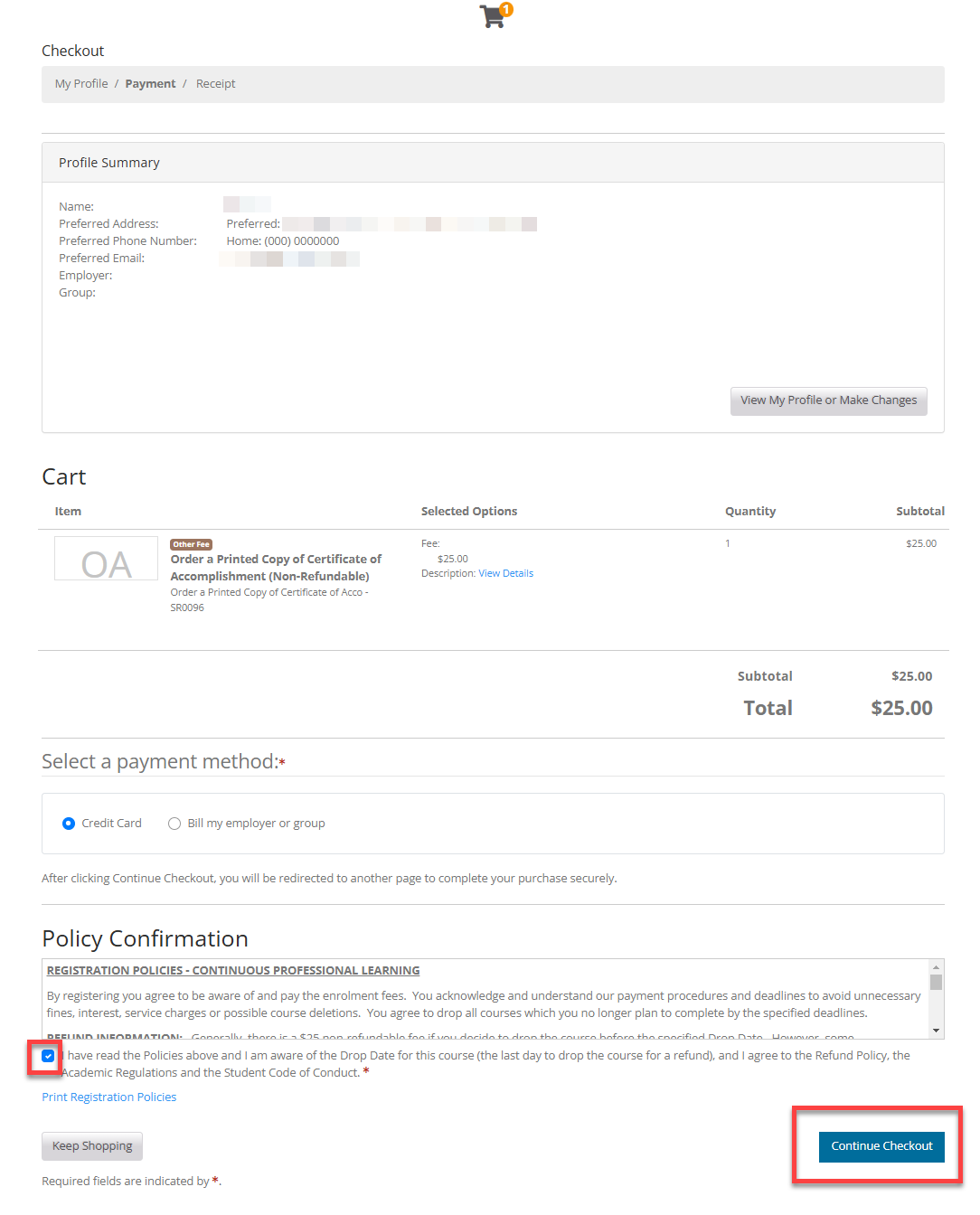 screenshot of payment page