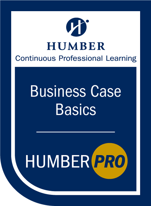Business Case Basics