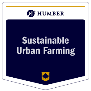 Sustainable Urban Farming