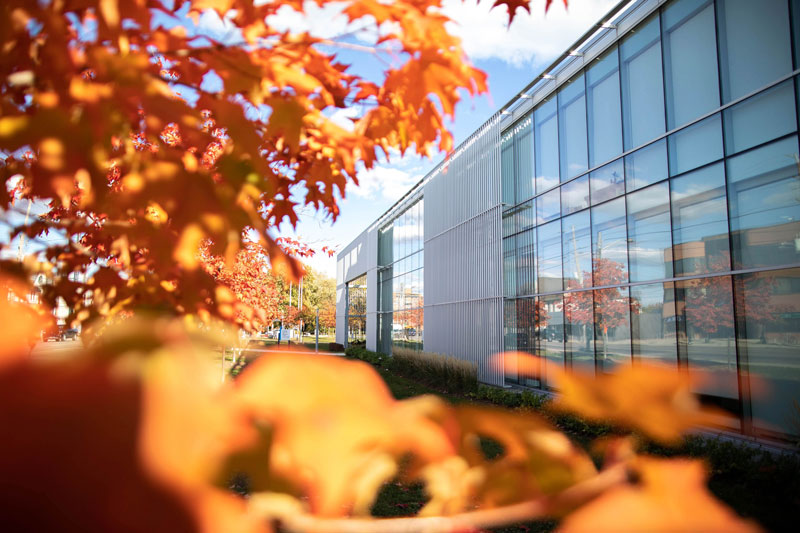 Humber Campus in fall with orange leaves on the trees