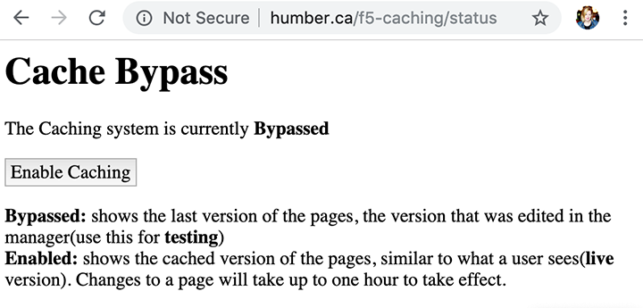 image of the Cache Bypass system page