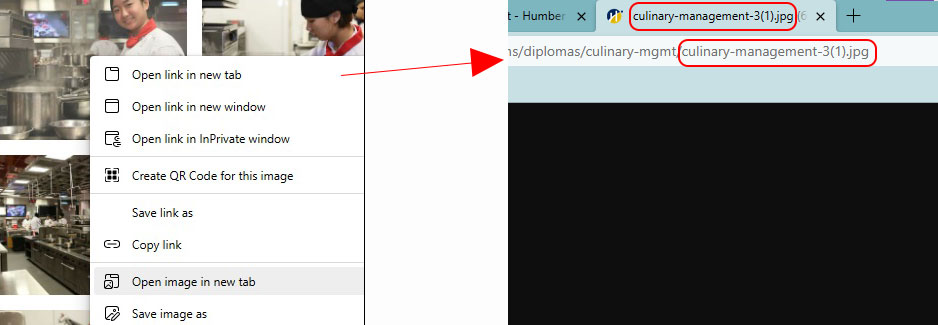 screenshot of open image in new tab