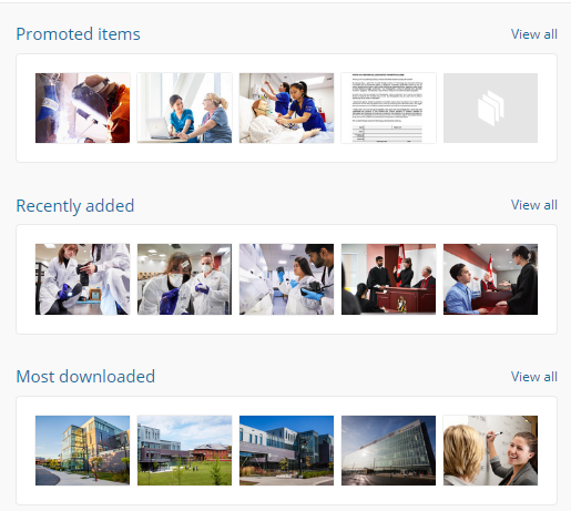 Image showing thumbnails of images available in the Image Bank