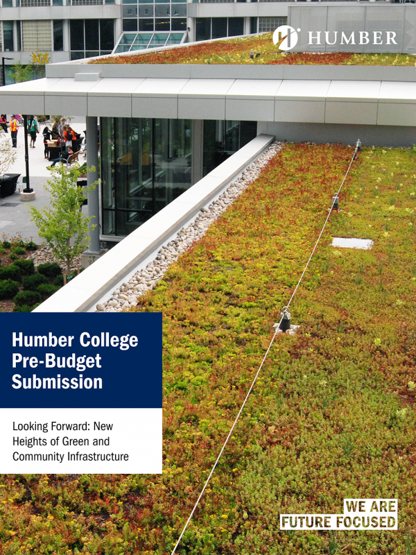 Cover shot of green roof at Humber