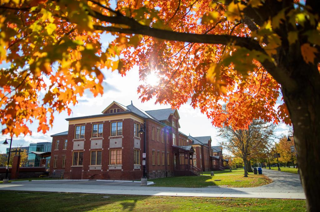 View of the Lakeshore campus under a maple tree with red leaves