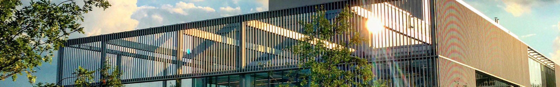 Humber Lakeshore Commons Building with sun shining through