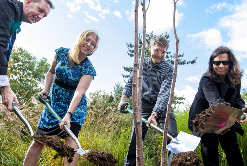 2 women and two men with shovels placing soil over a freshly planted tree