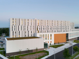 Humber Cultural Hub building in phase 2