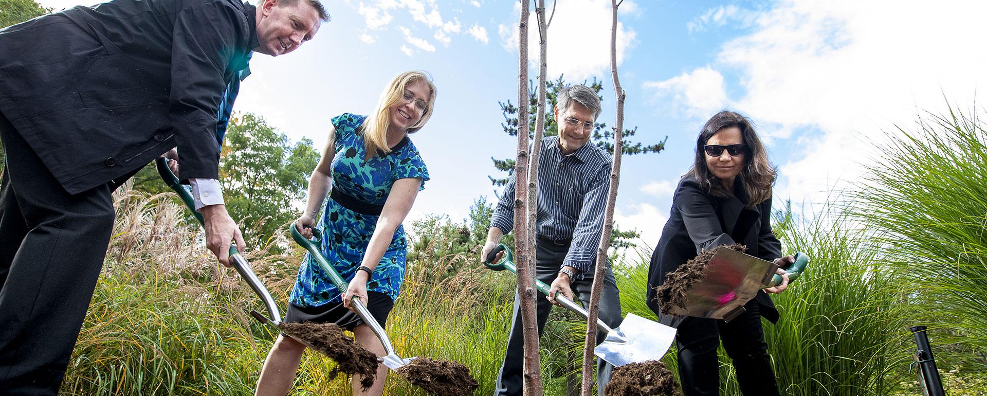 2 women and two men with shovels placing soil over a freshly planted tree