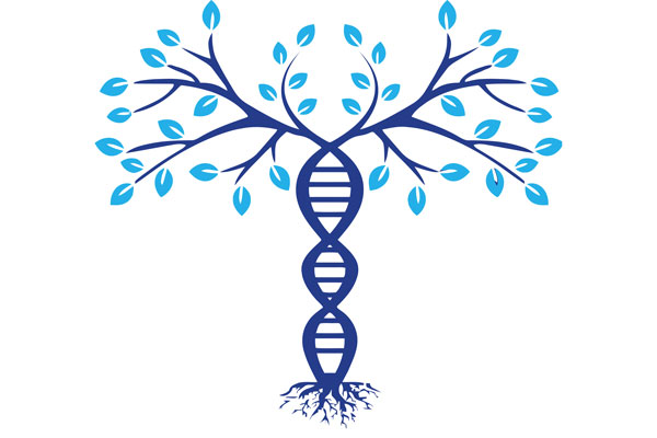 Illustrated tree with a trunk made of DNA