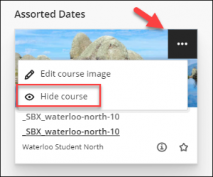 More options for [course name]