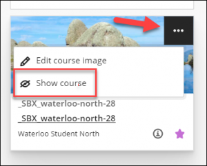 More options for [course name]_show course