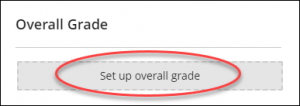 setting up overall grade