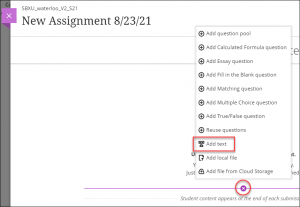 Add Text and questions on New Assignment page