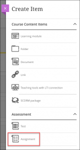 Assignment button found on Create Item panel