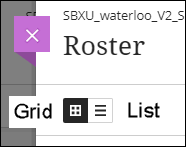 Roster view options