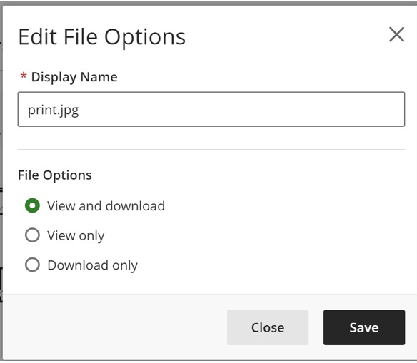 upload file options