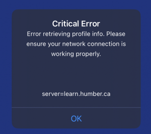 The critical error message in respondus, stating that there was an error retrieving profile info.