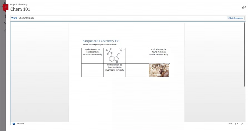 The student view, where students can click on the edit document button to begin collaborating.