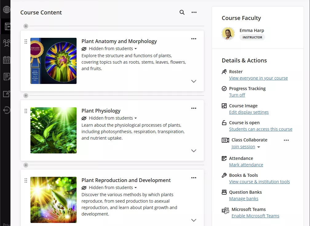 Generated modules in a new Blackboard course.