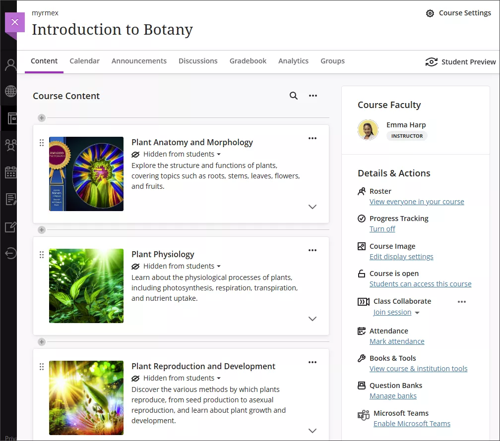 Generated modules in a new Blackboard course.