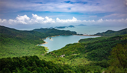 birds eye view of a lake in the middle of a forest