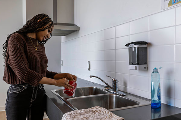 Common Room - Kitchen Sink - Lakeshore