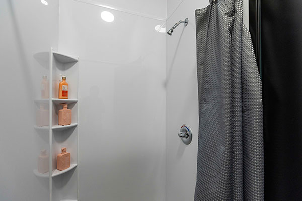 Staged bathroom shower - Lakeshore