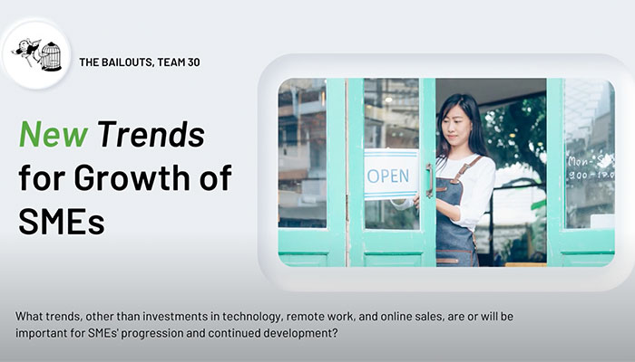 team 30 presentation