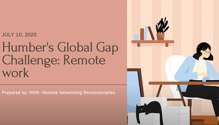 team 17 presentation