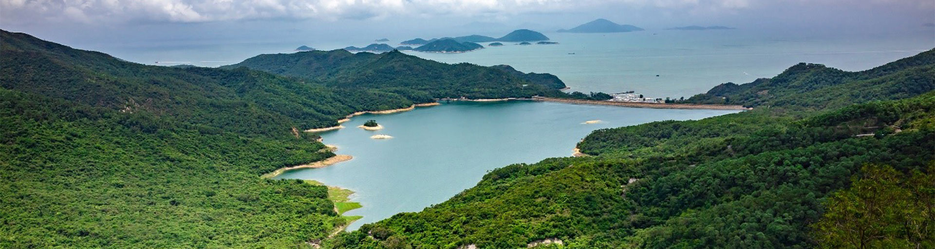 drone shot of a forest with a lake in the centre