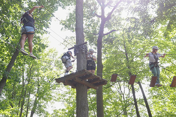 students on the treetop trekking course