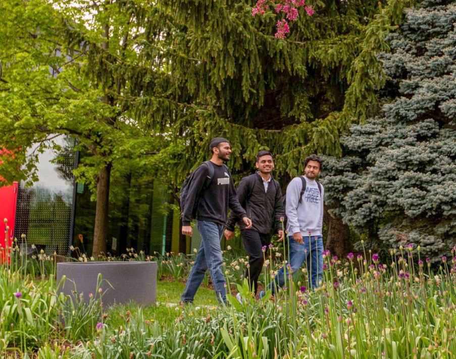 Three men walking in a wooded and grassy area in the springtime