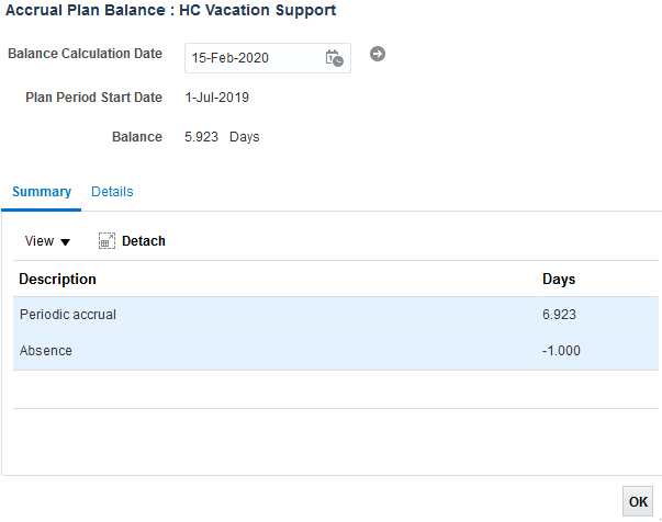 Screenshot of the "Accrual Plan Balances: Summary" section of the HRMS. 