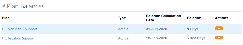 Screenshot of the "Plan Balances" section of the HRMS.