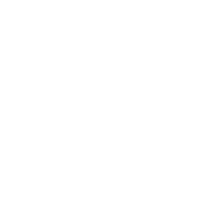 AI Institute