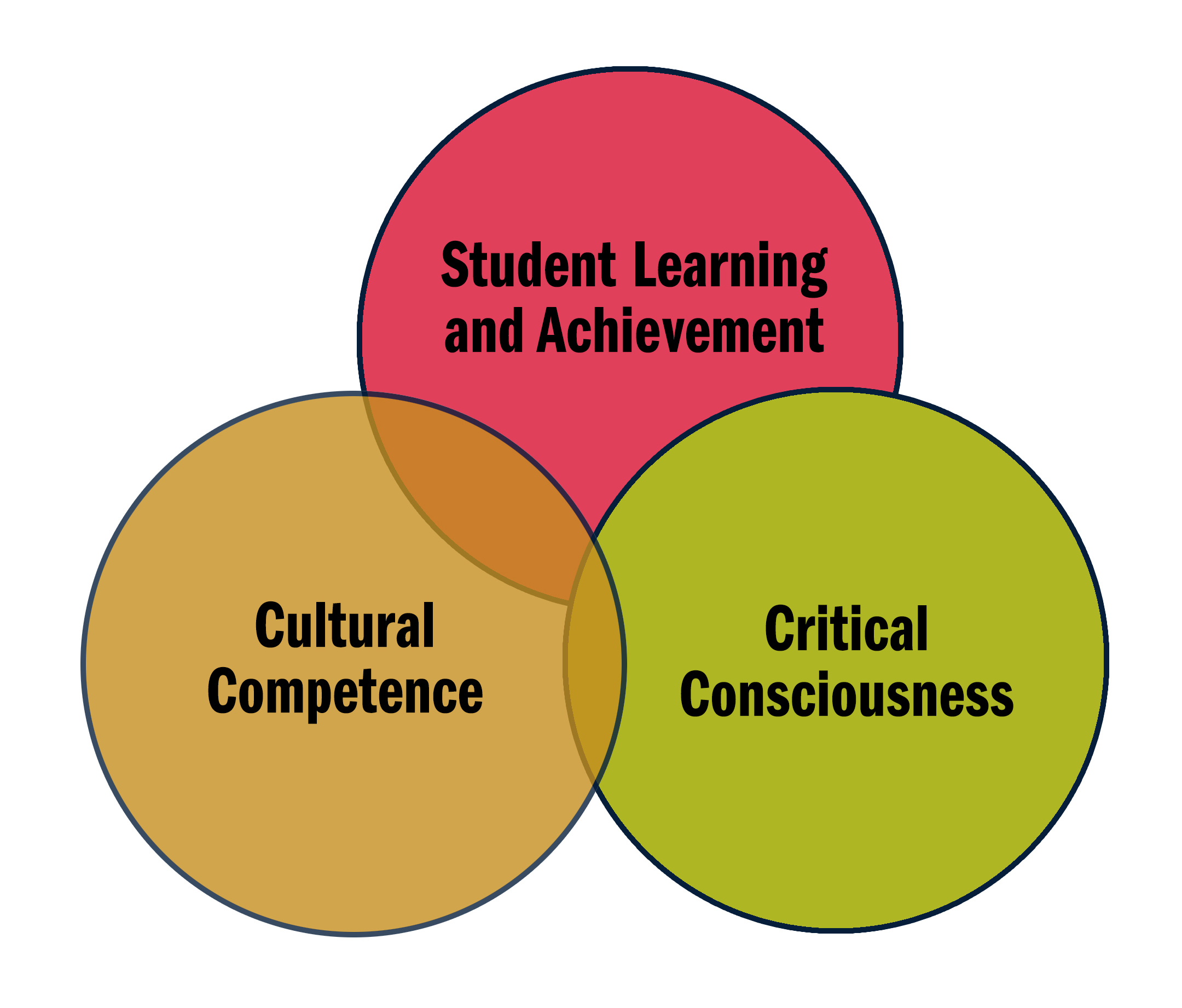 3 overlapping circles with the words student leanring and achievement, cultural competence, and critical consciousness.