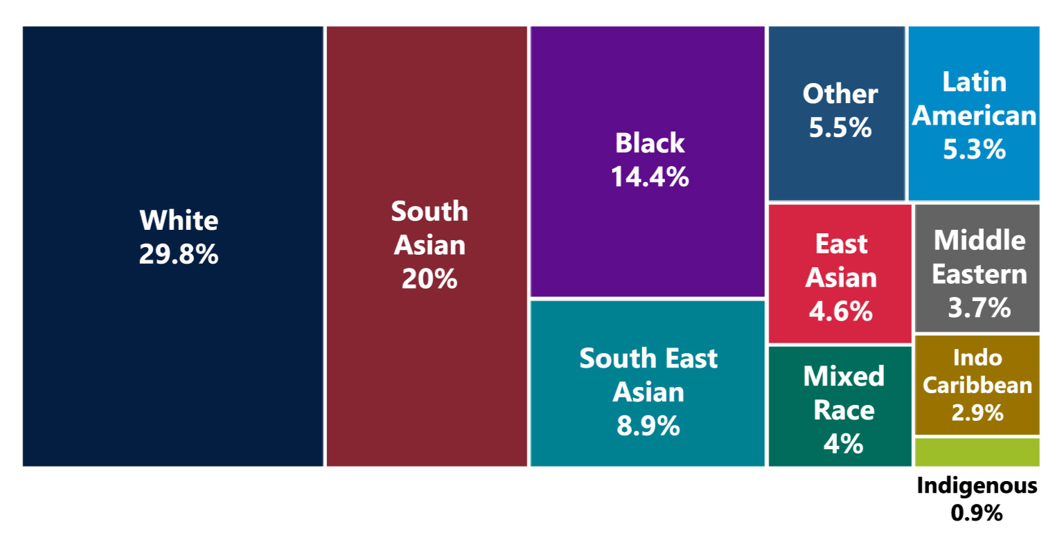 Chart showing the race distribution of students at humber