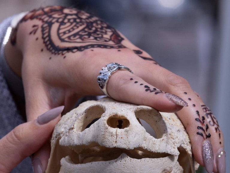hands holding a skull