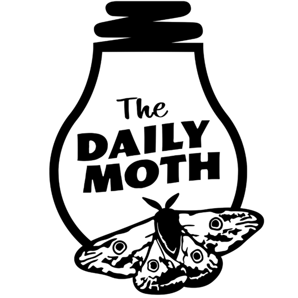 The Daily Moth logo