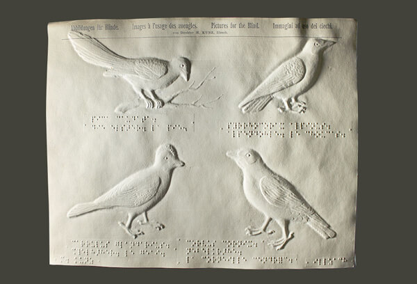 Tactile braille image of birds