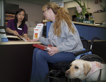 person in wheelchair with support dog talking to person behind desk