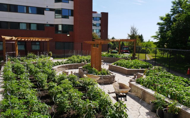 Garden in front of building