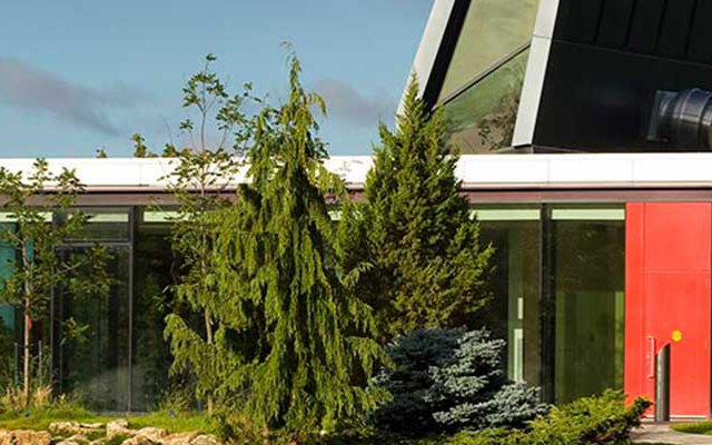 Trees in front of building