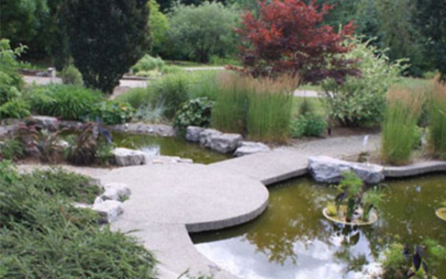 Garden and Pond