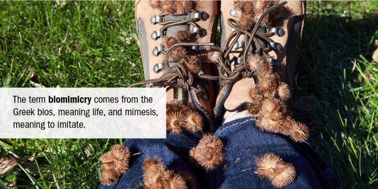 pair of hiking boots covered in burrs