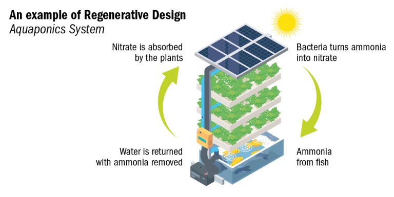 An example of Regenerative Design through Aquaponics. Illustration by Allahfoto from Shutterstock.